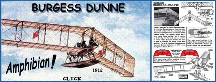 Dunne Amphibian