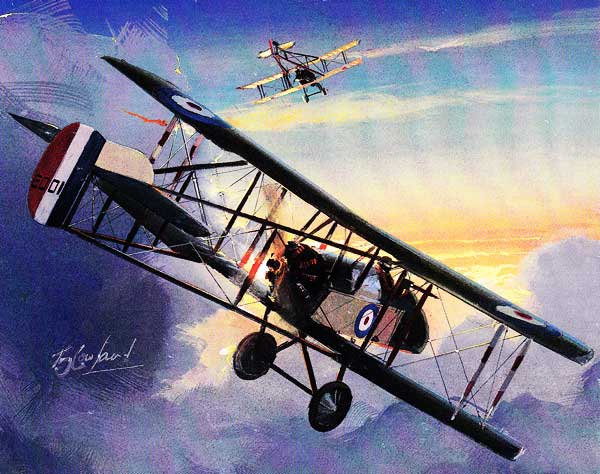 Airco DH.2 Painting