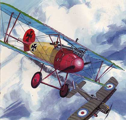 Albatros in Dogfight