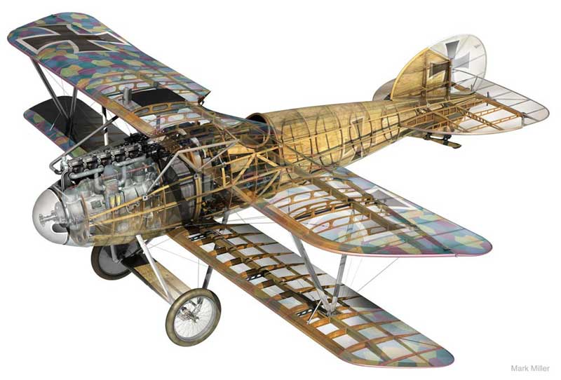 Albatros DVa Cutaway by Mark Miller