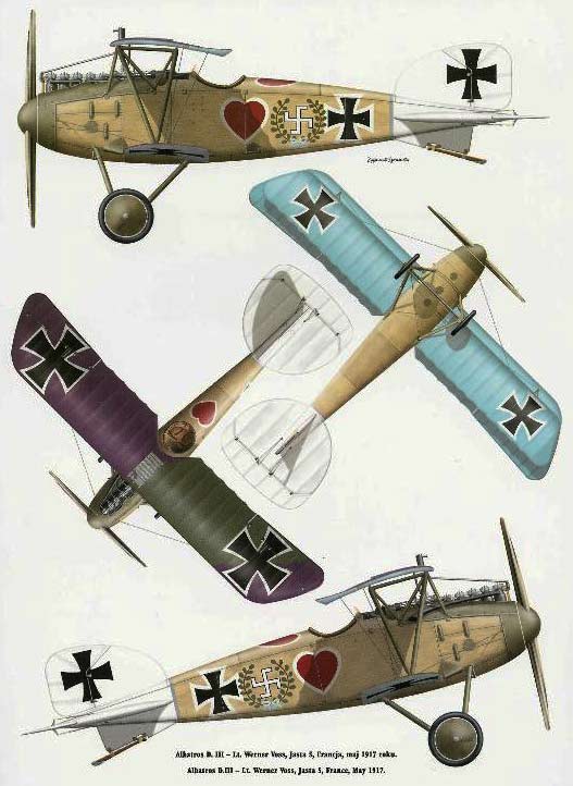 Albatros DVa-Hipple