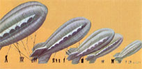 barrage balloons