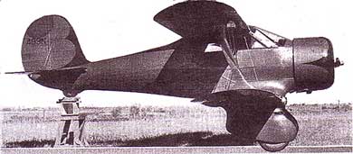 Staggerwing posing