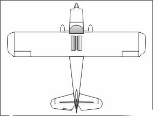 Bellanca Citabria top view