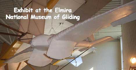 Blaue Maus in Museum
