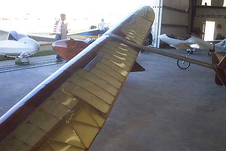 BA-100 wings