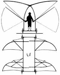 flapping-wing glider