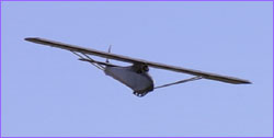 Colditz Cock Escape Glider in flight