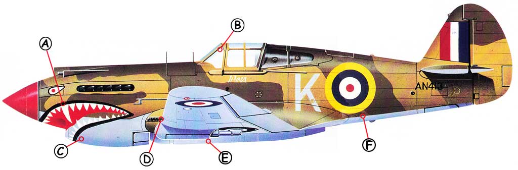 Curtiss P40 Warhawk Callout