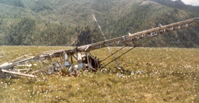 Curtiss Robin Crash