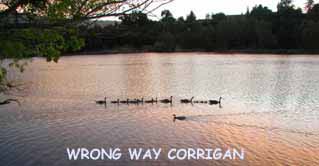 WRONG WAY DUCKigan