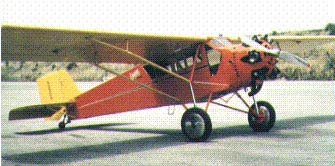 Curtiss Robin posing