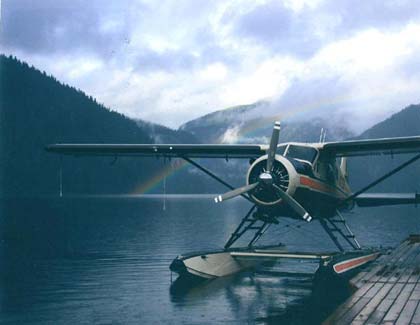 DeHavilland Beaver