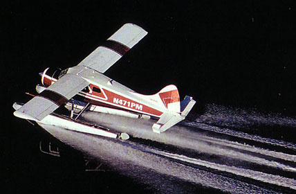 Beaver taxiing