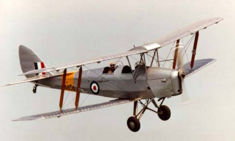 Tigermoth in flight