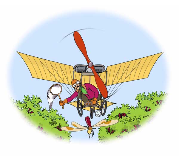 Alberto Santos-Dumont's Demoiselle illustration by Fiddlersgreen