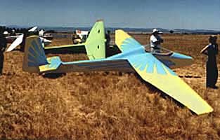 Aussie BJ1B Duster