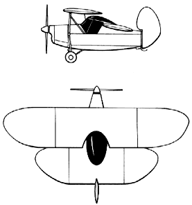 Flying flea 2 view