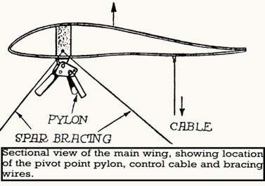 Flying flea-wing