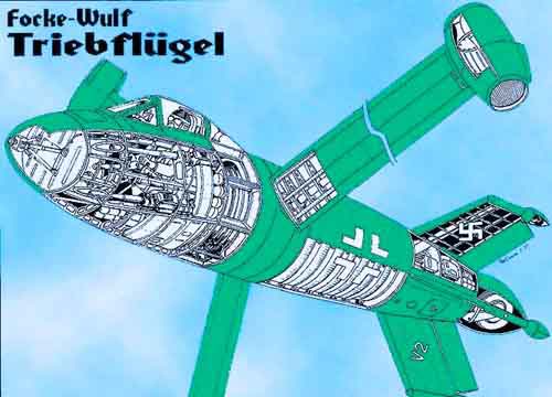 Focke-Wulf (FW) Triebflugel