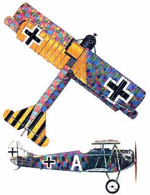 Fokker DVII two view
