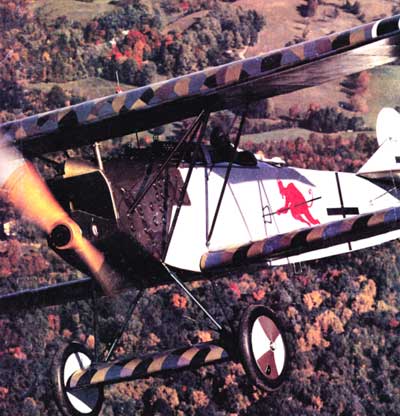 Fokker DVII