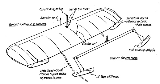 Canard Details