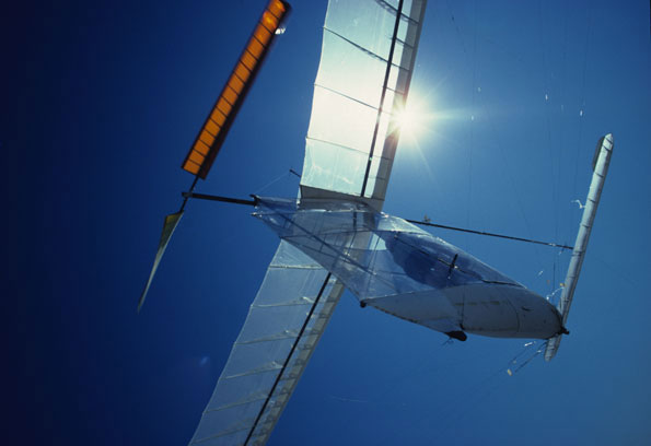 Albatross Inflight