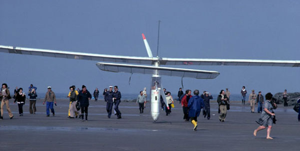 Albatross Landing at Cap Gris-Nez