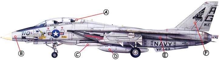 Grumman F-14 Tomcat Callout