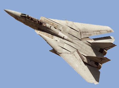 photo for the F-14 Tomcat paper model 