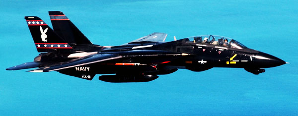 Grumman F-14 Tomcat