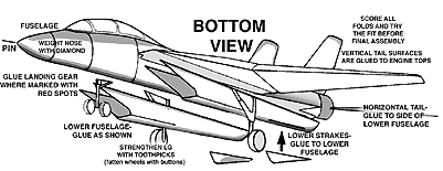 Bottom view of Tom Cat