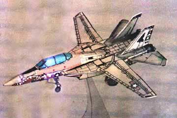 F-14 Tomcat