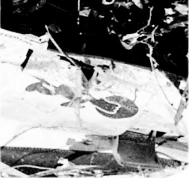 Grumman F3F crash