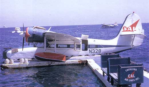 Early Catalina Island Goose waiting