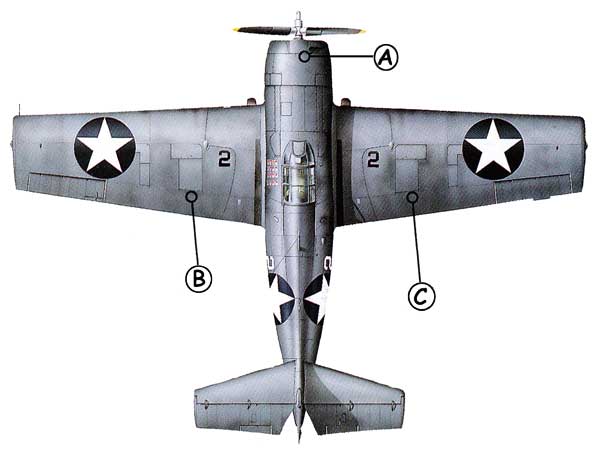 Grumman F4F Wildcat Callout Top