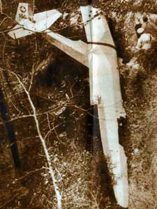 Grunau Baby Crash from 1937