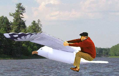 Bob and his gull