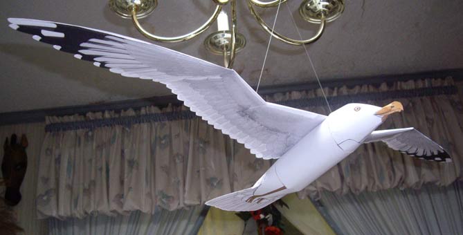 Herring Gull paper model
