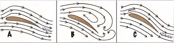 Bird wing profile-why it flies