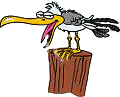 Goofy Herring Gull on a stick
