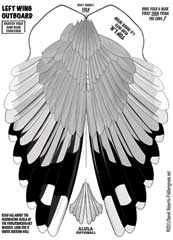 Tn-wing