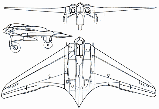 3 View of the Horten Ho 229
