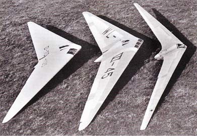 Horten Flying Wings