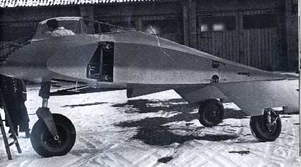 Horten flying wing center