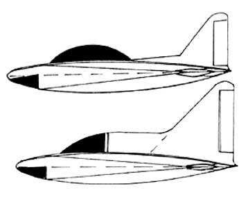 Lippisch Glider variations