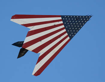 USA Flag F-117