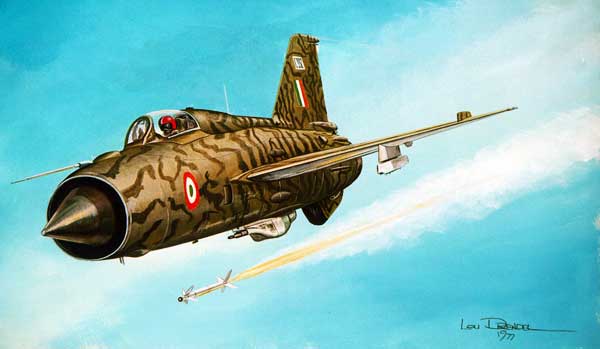 Illustration for MiG-21 paper model