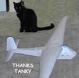Me-321- taunting Tanky's cat